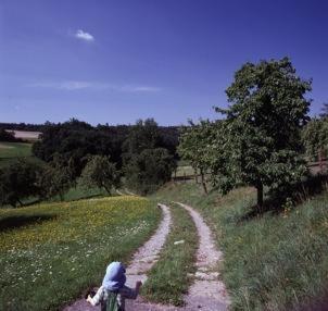 ホテル ラントガストホフ フィードラー Dietersheim エクステリア 写真
